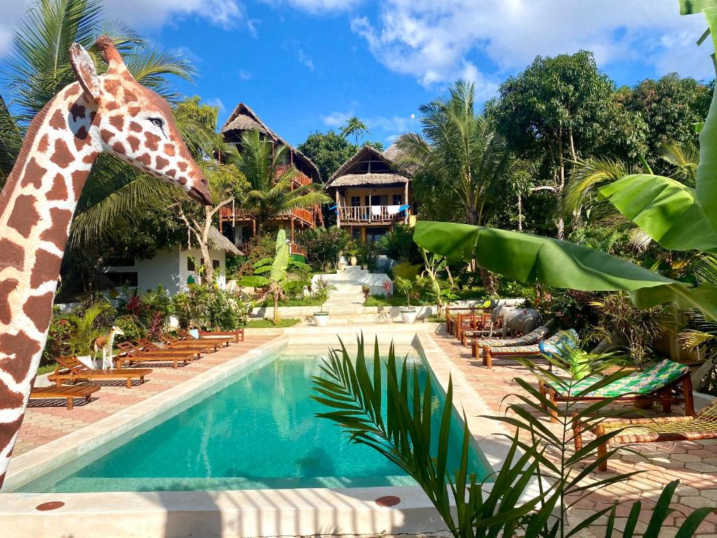 Bet-el-MaliKingstone lodge zanzibar的长颈鹿站在游泳池旁