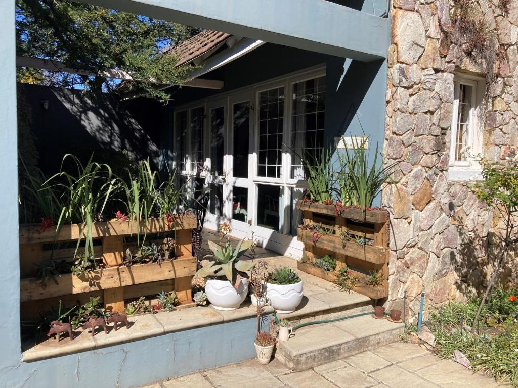 约翰内斯堡Home From Home, Waverley B&B, Johannesburg的前廊上种有盆栽植物的房子