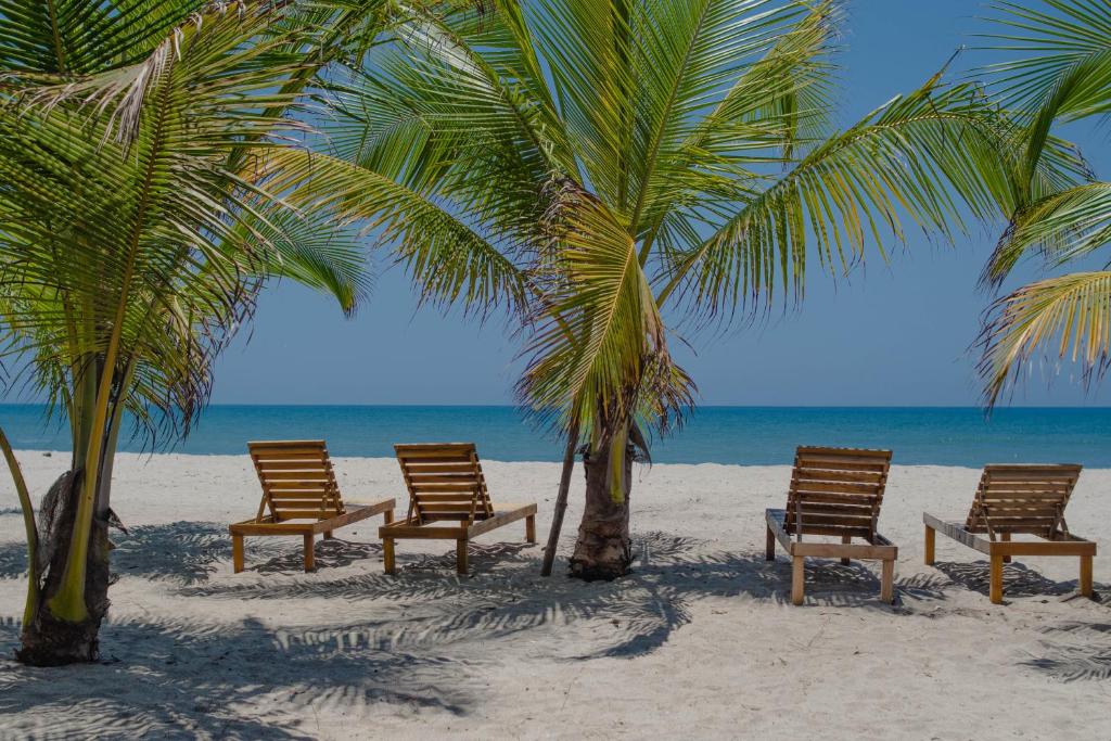 伯里塔卡Manoush Beach的海滩上的四把椅子和棕榈树