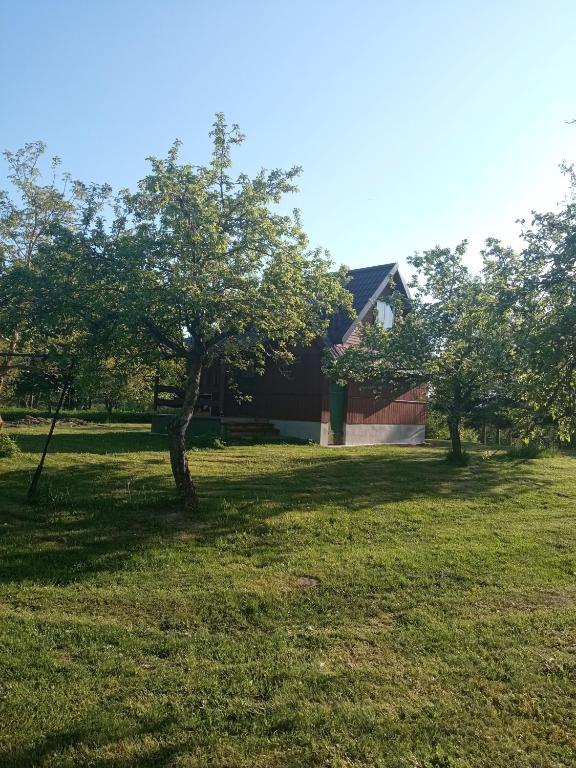 CzostkówSielanka na wzgórzu的房屋前有树木的院子