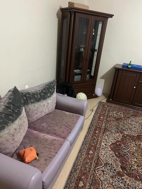 伊斯坦布尔Coolest Appartement 2+1 Furnished的带沙发和镜子的客厅