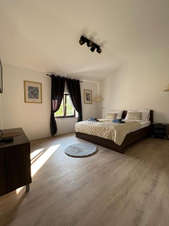 布莱德Slovenian House Vida的一间设有床铺和窗户的大卧室