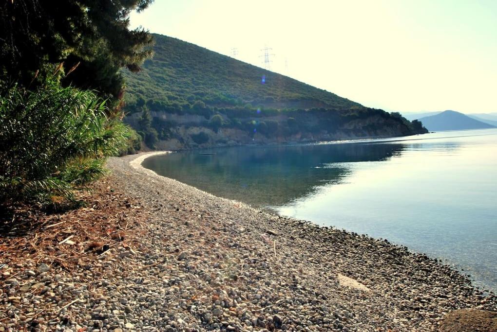 马拉希亚斯Fokiotripa (lovely villa on an enchanting beach)的水体的岩石海岸