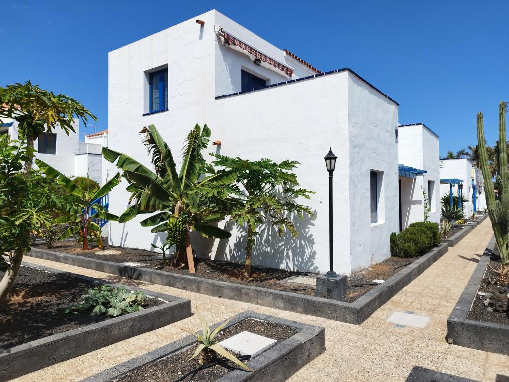 卡勒达德福斯特Charmant Appartement Casa Freesia Caleta avec piscine的前面有树木的白色建筑