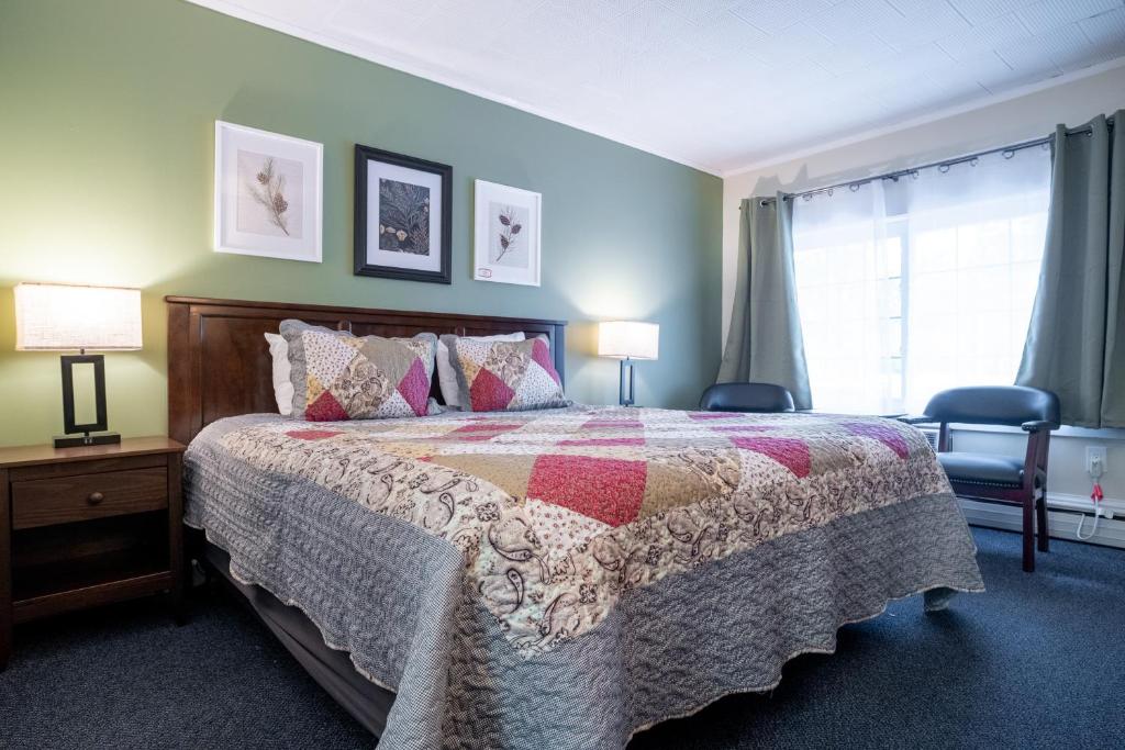 巴港阿卡迪亚松树汽车旅馆 的一间卧室配有一张床、两盏灯和一个窗户。
