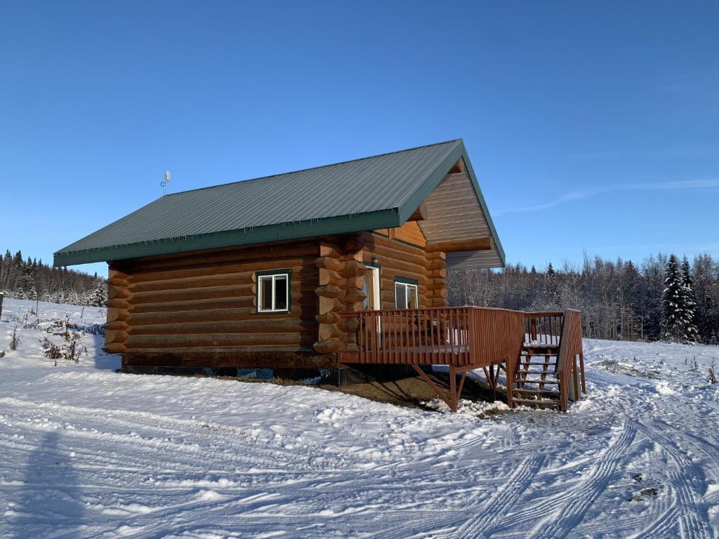 Pleasant ValleyThe Chena Valley Cabin, perfect for aurora viewing的雪中带绿色屋顶的小木屋