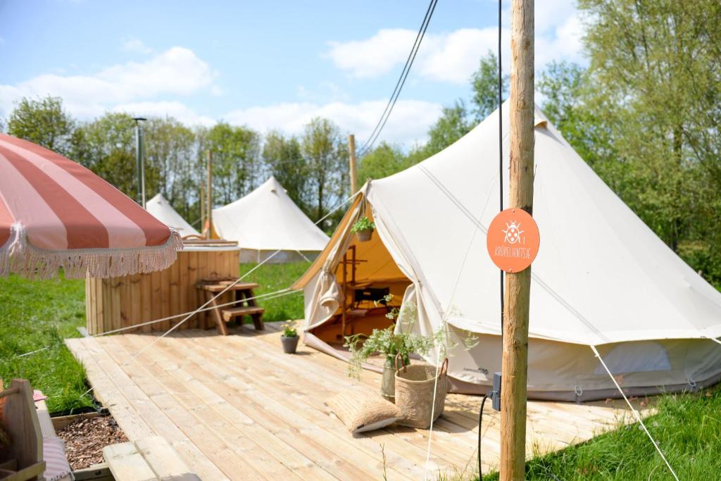 Minicamping de dobbe的圆顶帐篷,在田野上设有木甲板