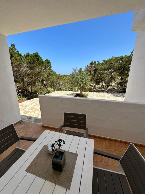 埃斯普霍斯AT Espalmador Formentera rustick的阳台的用餐室配有桌椅