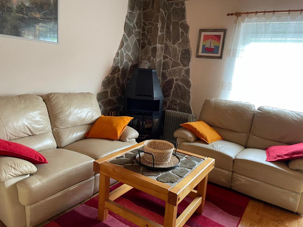 ŠoštanjVintage Holiday House的客厅配有两张沙发和一张咖啡桌