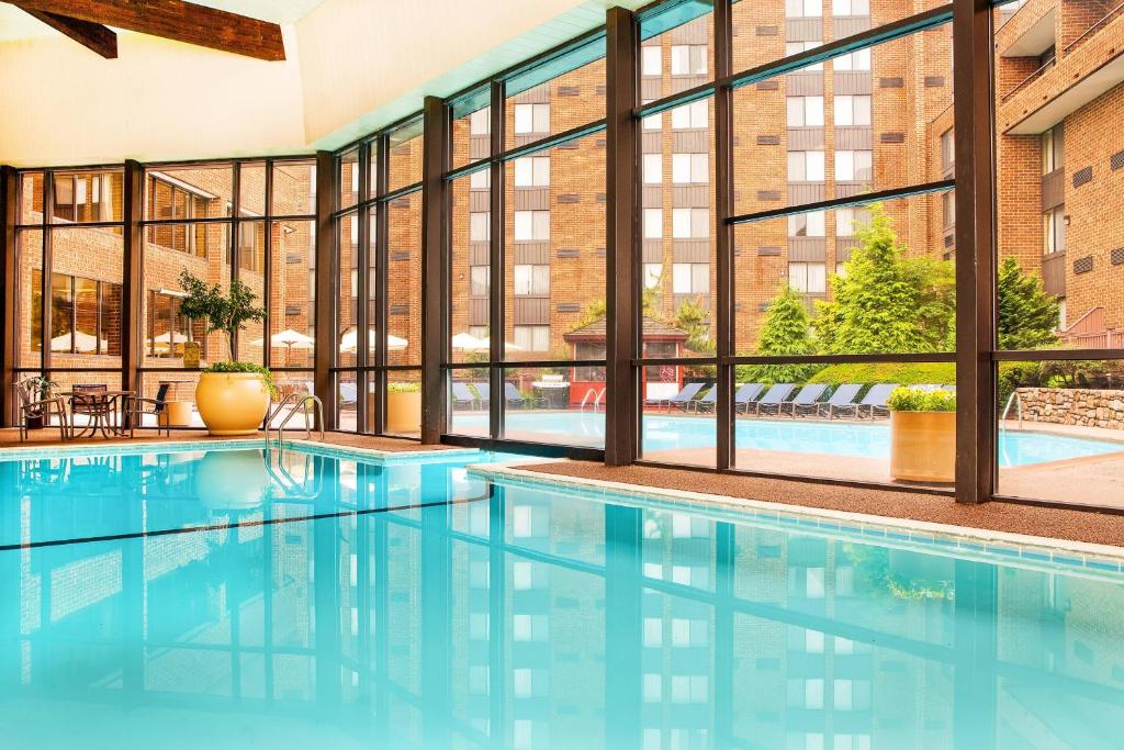 哈里斯堡哈里斯堡喜来登酒店赫尔希的一个带大窗户的室内游泳池