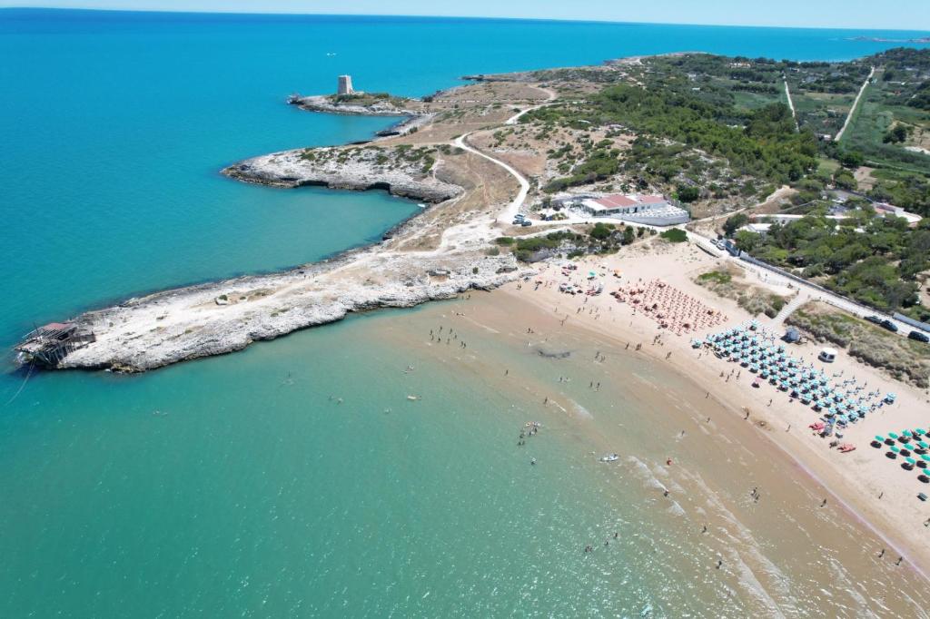 维耶斯泰Villaggio Turistico Scialmarino的享有海滩和海洋的空中景致