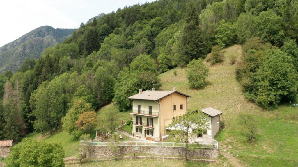 BordognaB&b I Pellegrini della Casèla的山边树木的房子