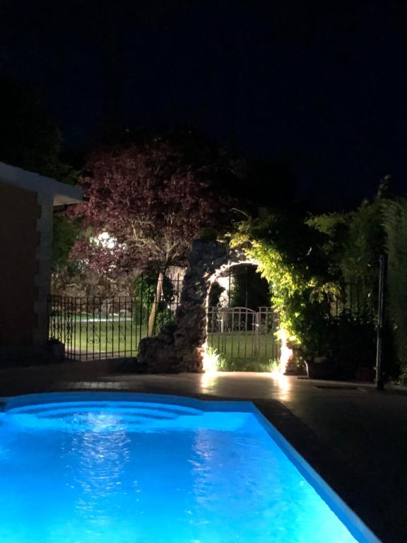 Paleolítico rural的夜晚在院子里的一个蓝色游泳池
