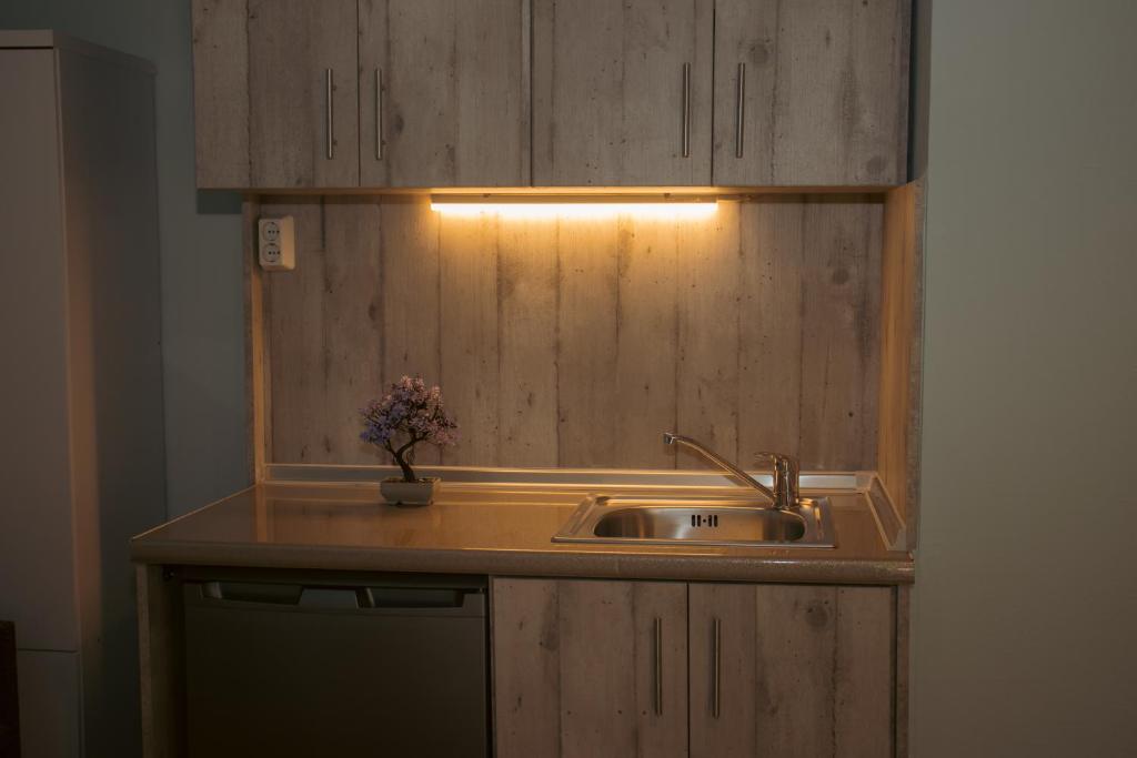 帕纳基雅Amaya Pine Studio的厨房柜台设有水槽和灯