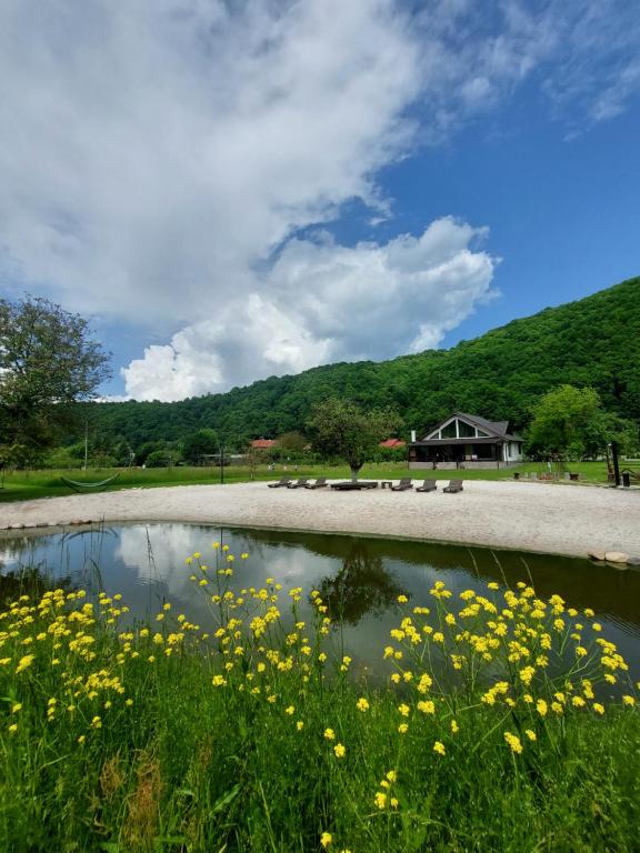 CiuceaCiucea185 -Casa din Livadă的草上一束黄色花的池塘