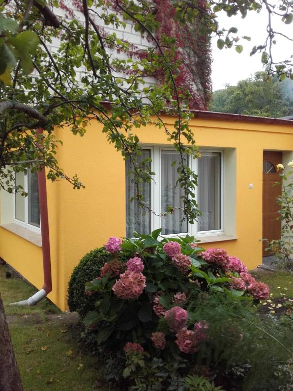 格丁尼亚KASZUBIANKA 1的前面有鲜花的黄色房子