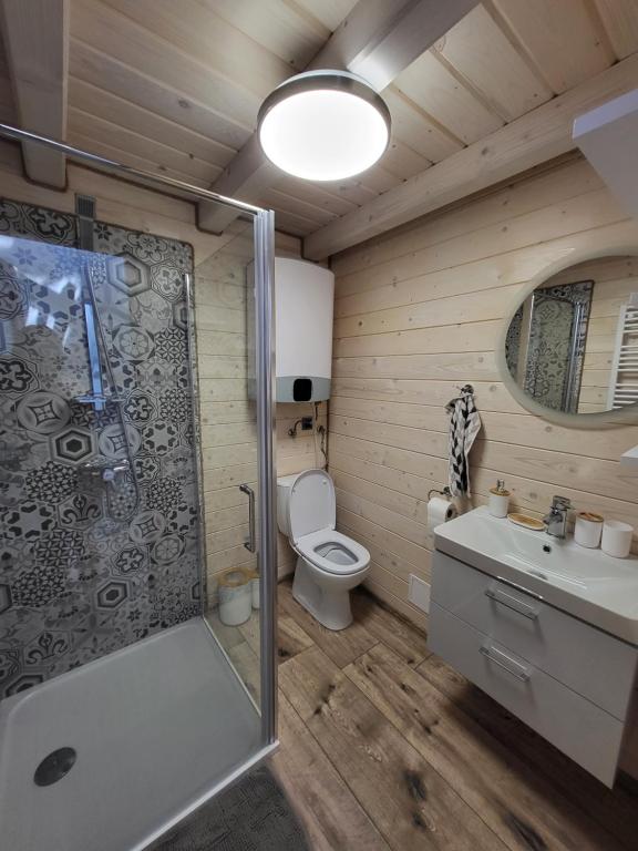 KrzemiennaGlamping nad Sanem的带淋浴、卫生间和盥洗盆的浴室