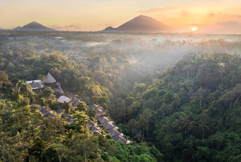 乌布The Kayon Valley Resort的一片以山为背景的阴森森林