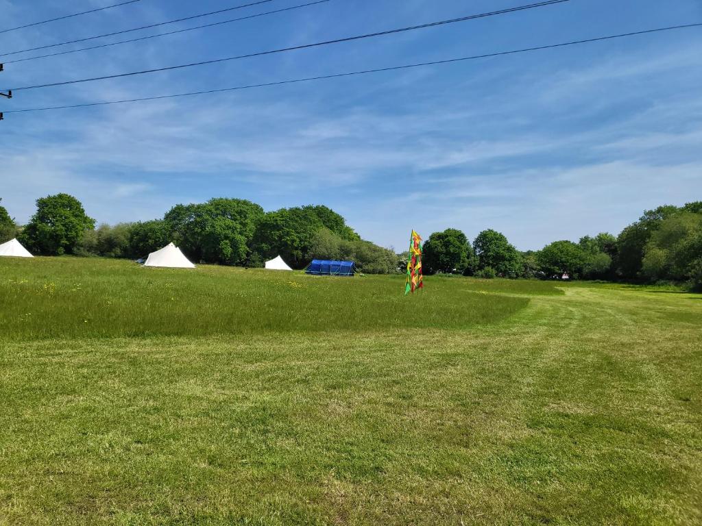 Corfe MullenDorset Glamping Fields的风筝在田野,有帐篷在后面