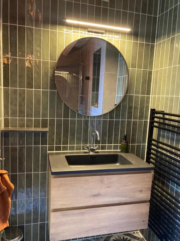 IlpendamDe hoftuin Ilpendam appartement的一间带水槽和镜子的浴室
