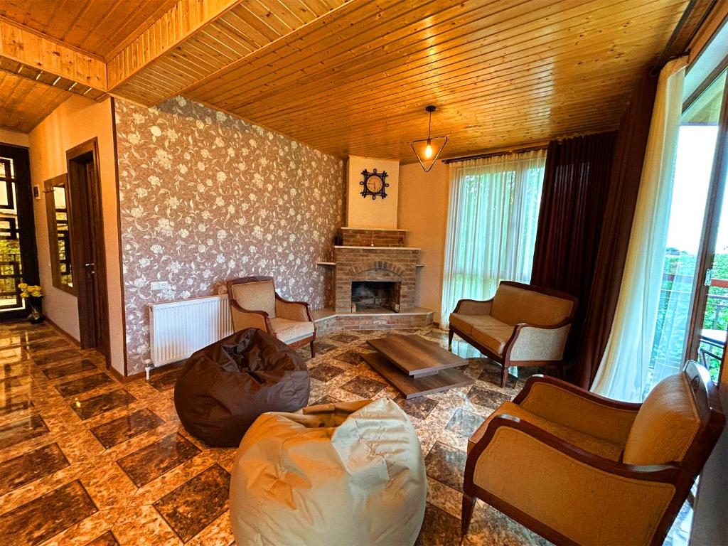 西格纳吉Hotel VIM in Sighnaghi的带沙发和壁炉的客厅