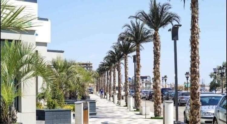 那沃达利Studio Alezzi Beach Resort Ely的一条有车的街道上一排棕榈树