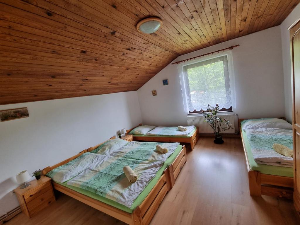 乌帕河畔斯沃博达Ubytování - Černá hora II的配有木天花板的客房内的两张床