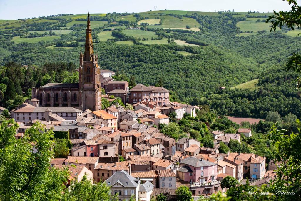 Belmont-sur-RanceCAMPING VERT LAVANDE的一座小山上的村庄,有教堂