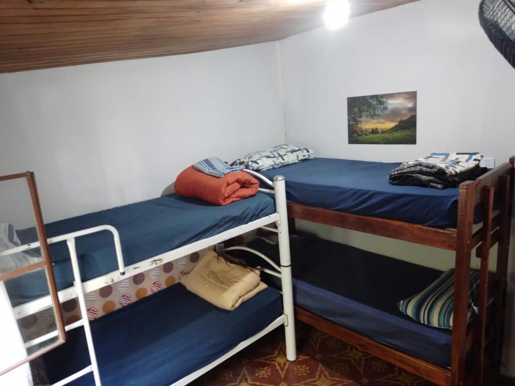 康考迪亚DCH Hostel Backpaquers的一间卧室配有两张双层床。