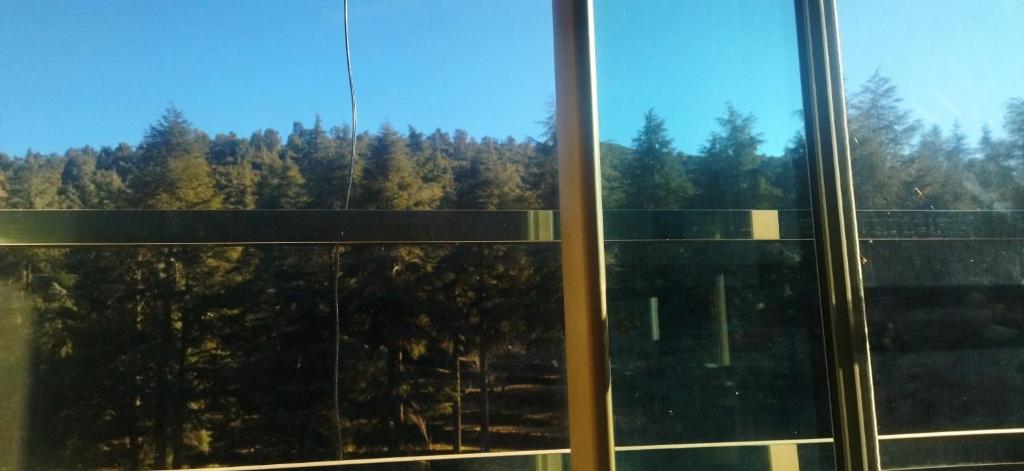 KetamaKetama house的享有森林树木景致的窗户