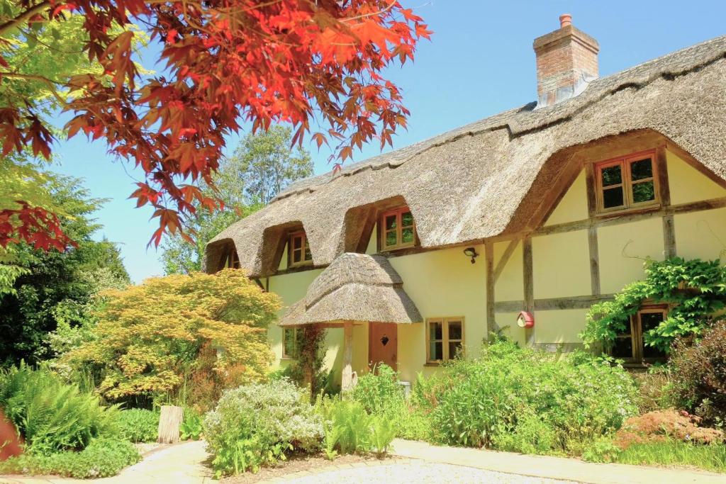 BreamoreThe Cottage, Beautiful New Forest 5 Bedroom Thatched Cottage的茅草屋顶的古老房屋