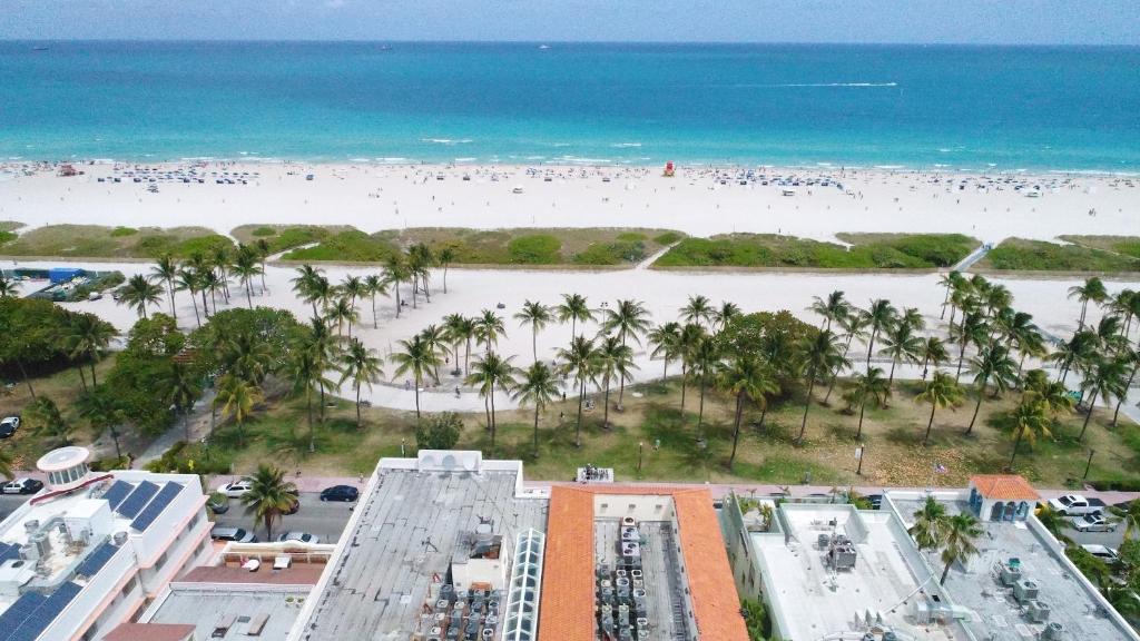 迈阿密海滩4 RM on Beach SoBeSuites by AmericanVacationLiving的享有棕榈树海滩和大海的景色