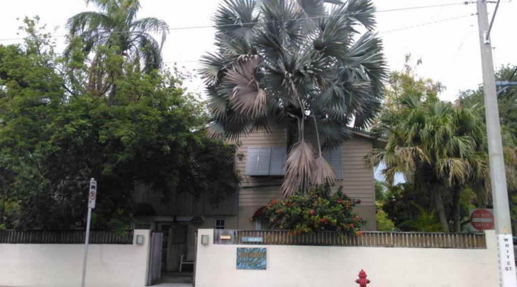 DennyCarr's Hill Luxury Safari Tents的前面有棕榈树的房子