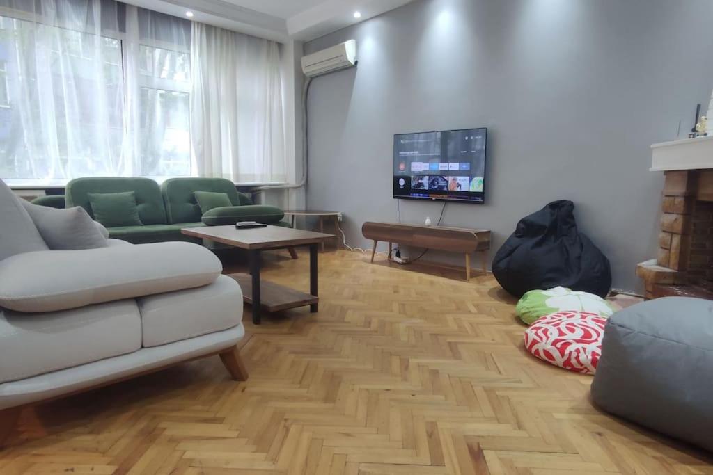 伊斯坦布尔Cozy Apt Nearby Beşiktaş - Keyif ve huzur dolu的带沙发和电视的客厅