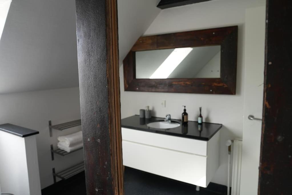瓦埃勒Penthouselejlighed midt i Vejle的一间带水槽和镜子的浴室