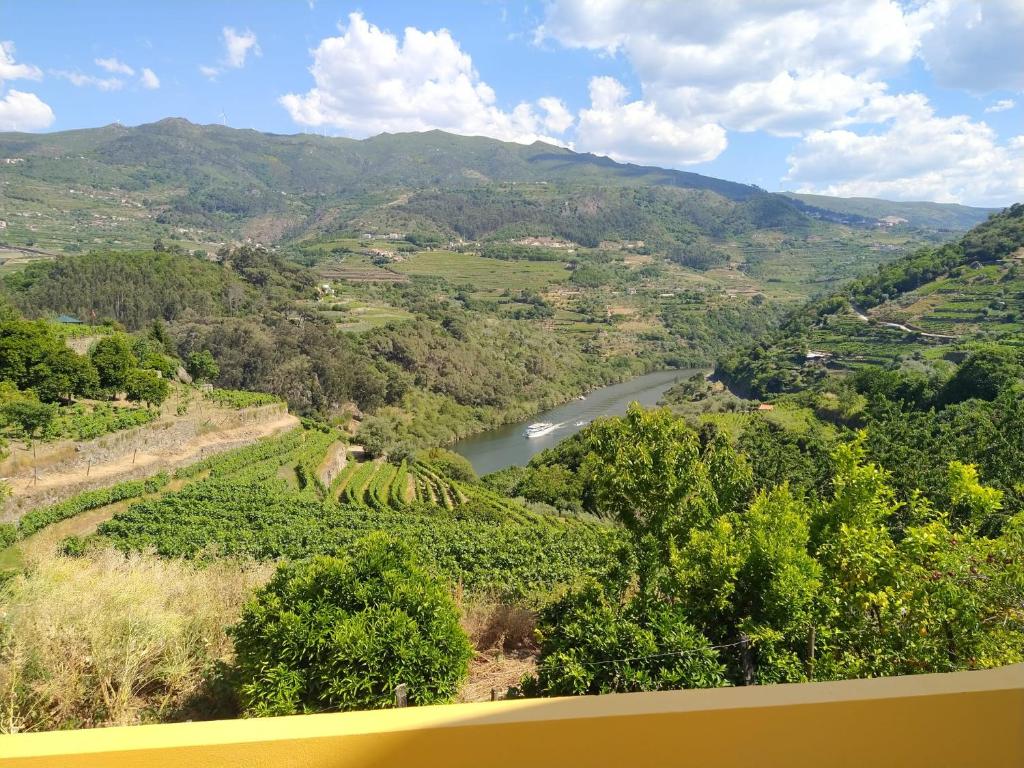 梅桑弗里乌Casa Avós D'Ouro - Barqueiros, Mesão Frio, Douro的享有树木林立的山谷中的河流美景