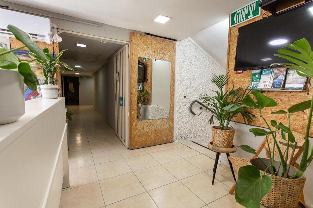埃拉特Little Prince Hostel-5 Min Walk To The Beach的办公室走廊上种植了植物,墙上配有电视