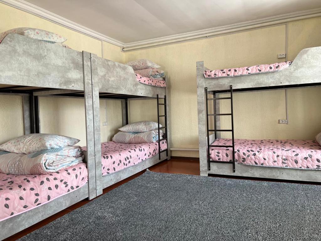 卡拉科尔The Nest Hostel的配有两张双层床的宿舍间配有粉红色床单