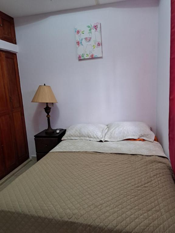 马那瓜Acogedora Casa的一间卧室配有一张床和一张桌子上的台灯