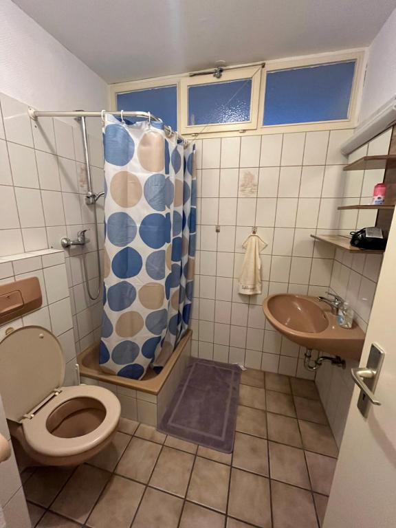 科隆Zimmer in Köln的带淋浴、卫生间和盥洗盆的浴室