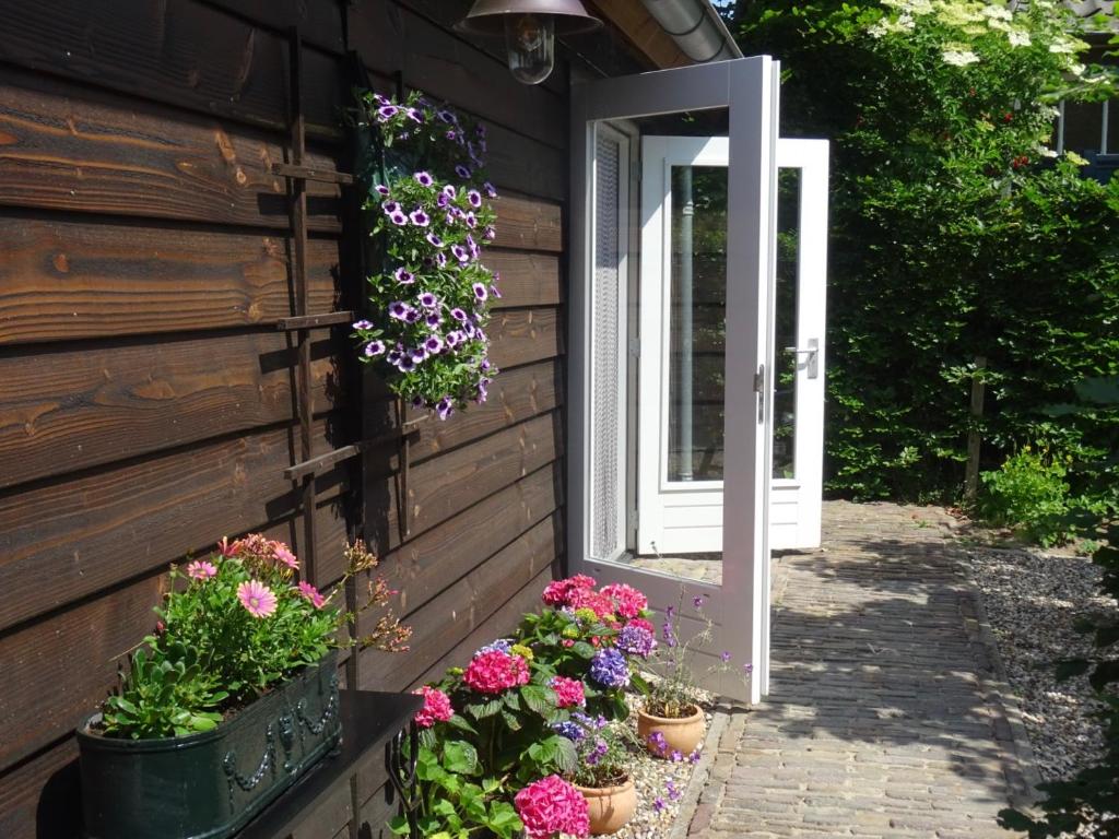布隆克霍斯特Huisje aan ‘t Hof的花盆栽的房屋的门