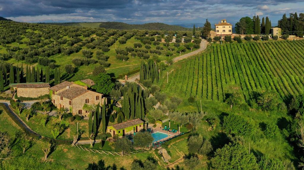 帕尼卡莱Relais Villa Monte Solare Wellness & SPA的葡萄园内房屋的空中景观