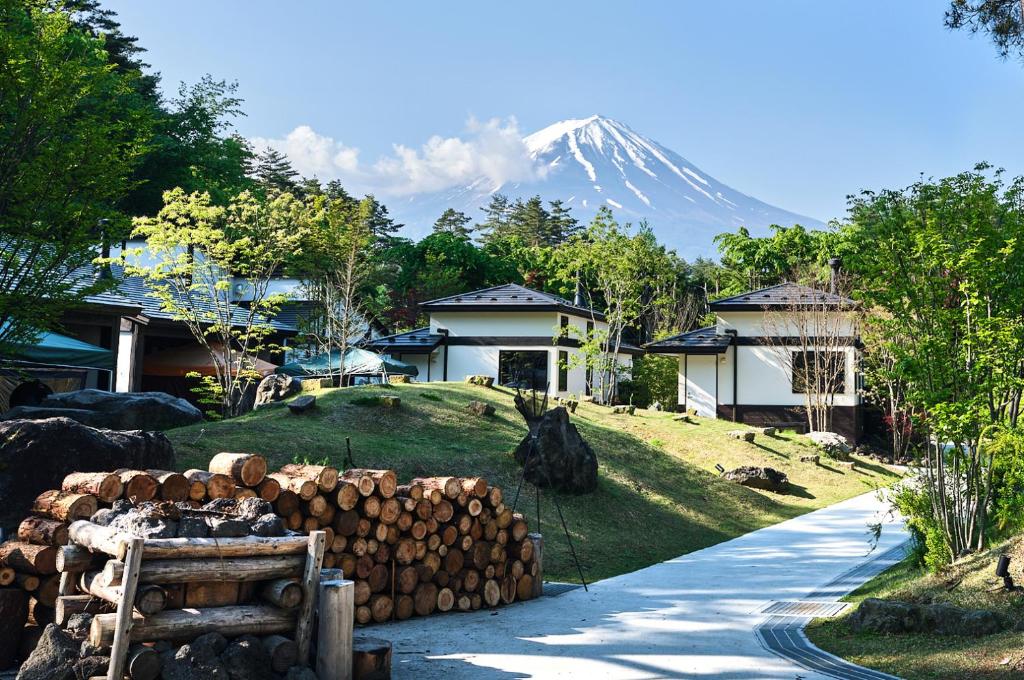 富士河口湖Glamping Villa Hanz Kawaguchiko的远处的山,一堆木头