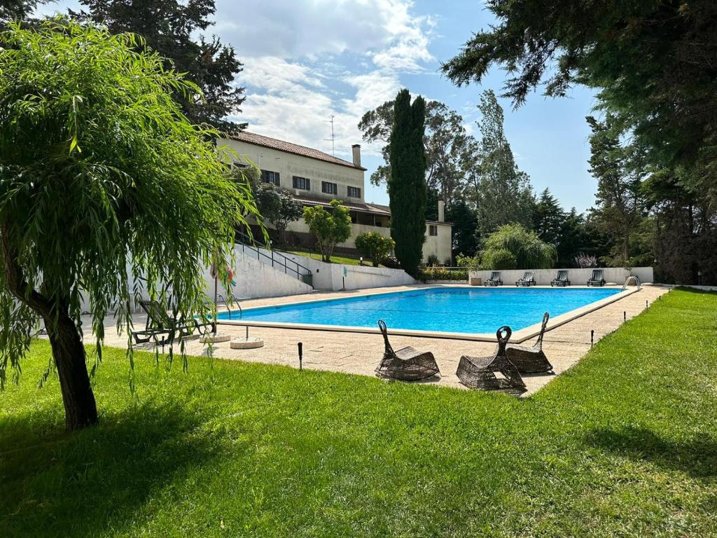 Pêro MonizQuinta dos Encantos "Entire Villa"的庭院中带天鹅的游泳池