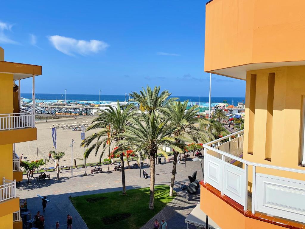 洛斯克里斯蒂亚诺斯埃迪菲西奥唐安东尼奥旅馆的享有棕榈树海滩和大楼的景色