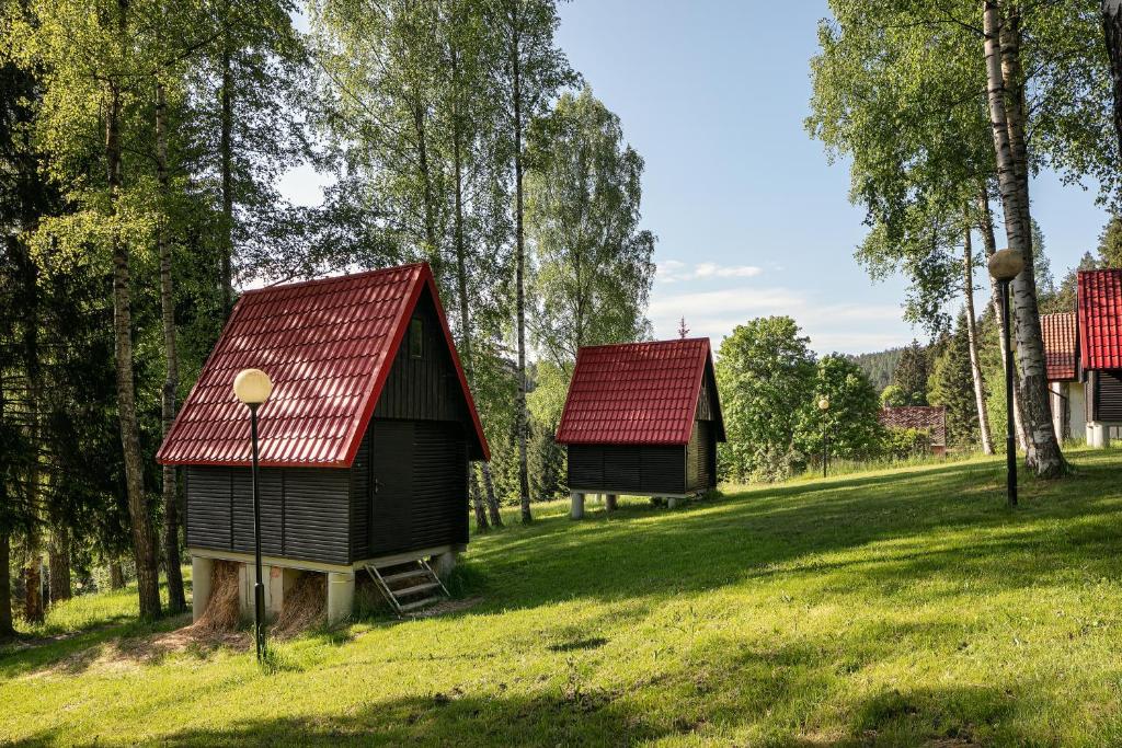 阿德尔什帕赫Chatky Skalní mlýn Adršpach的两所房子,在田野上有红色屋顶