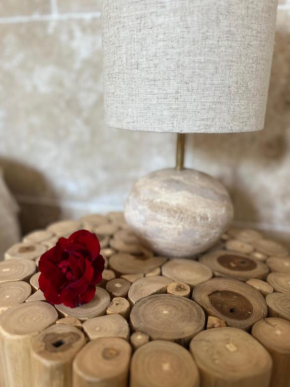 马里尼亚讷Romance en Provence的红玫瑰坐在台灯旁边的桌子上
