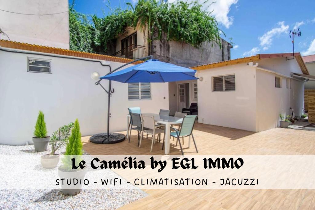 勒拉芒坦Le Camélia - Gîte "Terre et Truffes"的一个带桌子和遮阳伞的庭院
