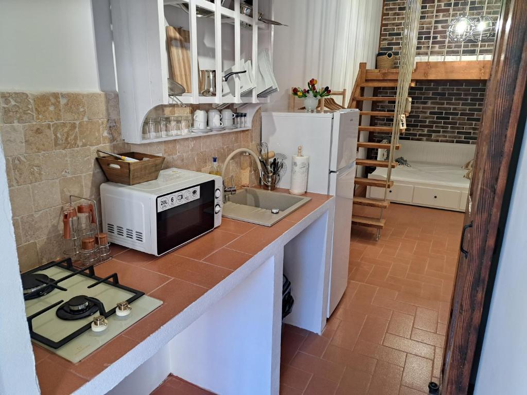 南埃福列Casa Doros的厨房配有微波炉和冰箱。