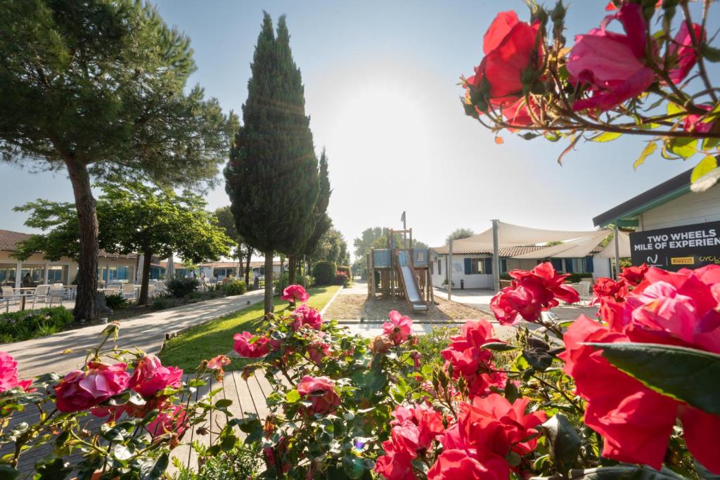 波坦察皮切纳港Natural Village Resort的享有一条拥有粉红色花卉和树木的街道的景色